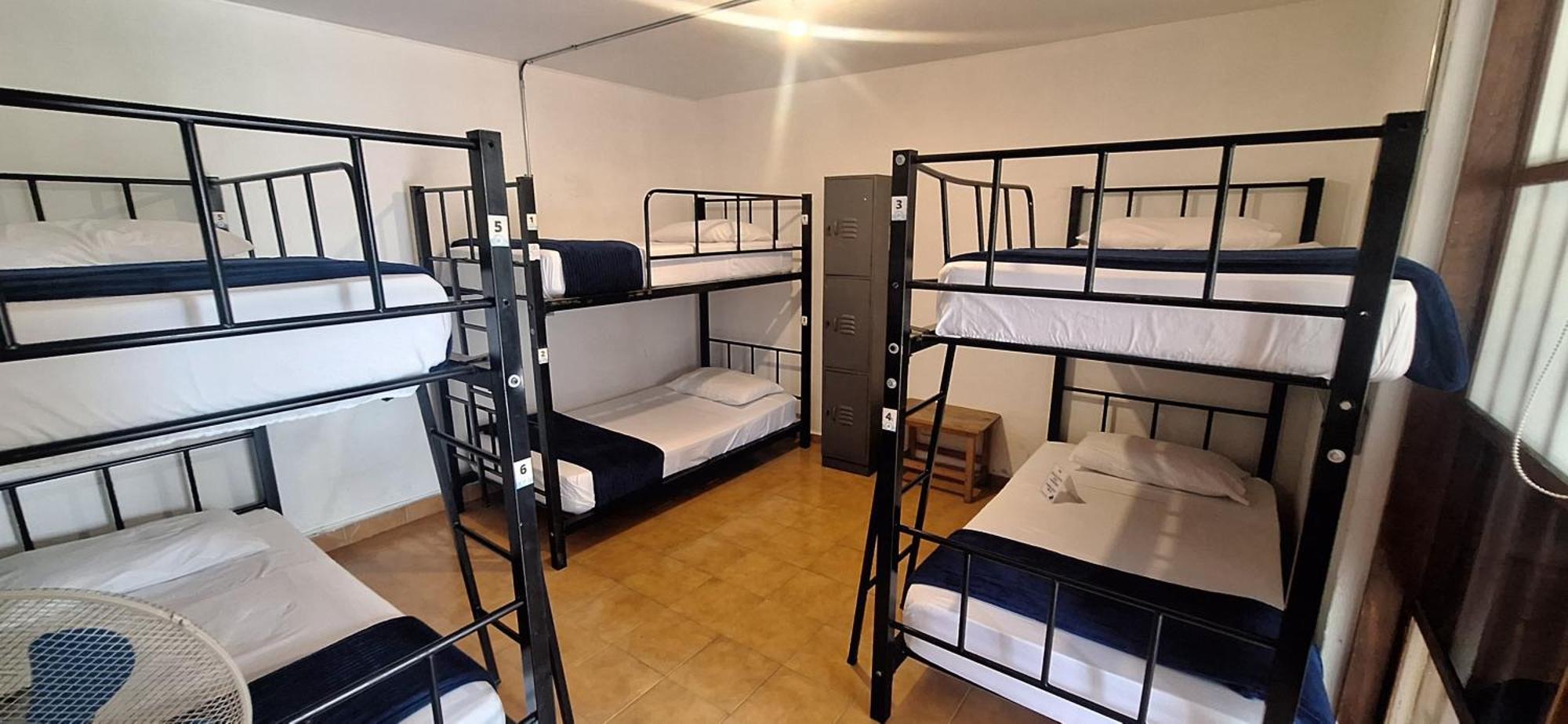 Yolo Hostel Medellin Luaran gambar